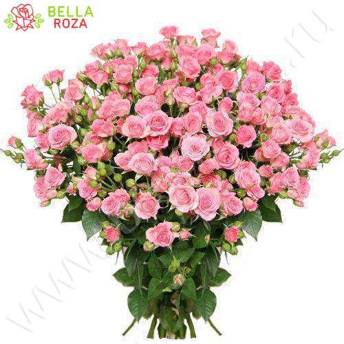 Букет из 39 розовых кустовых роз