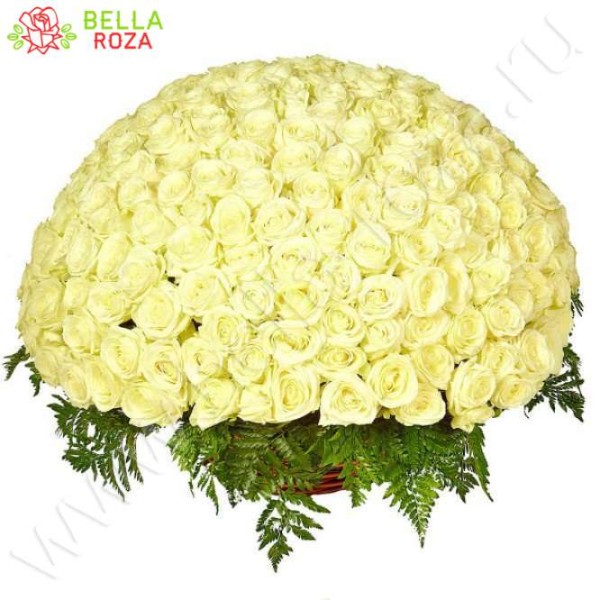 Круглая корзина из 151 белой розы