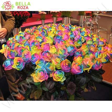 Букет из 151 радужной розы 70-90 см