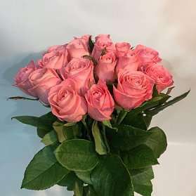 21 розовых роз Анна Карина 100 см