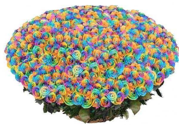 Букет из 1001 радужной розы 70-90 см