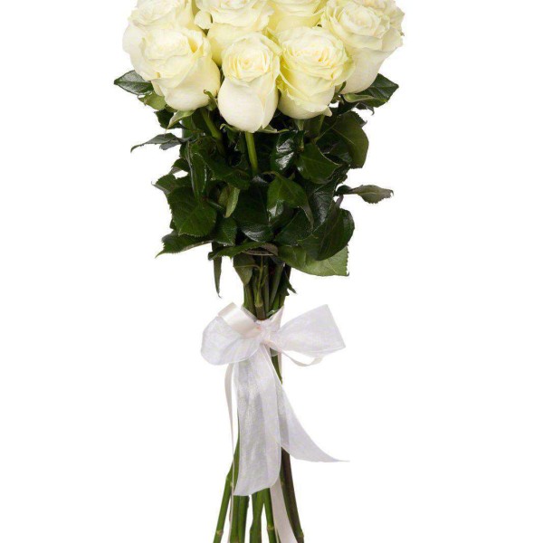 11 белых метровых роз (100 см)