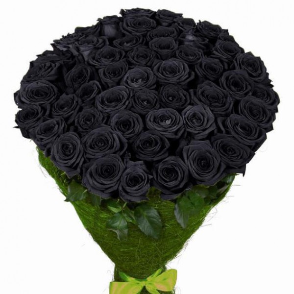 51 натуральная черная роза 70-90 см