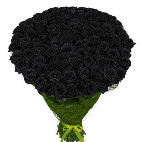 101 натуральная черная роза 70-90 см