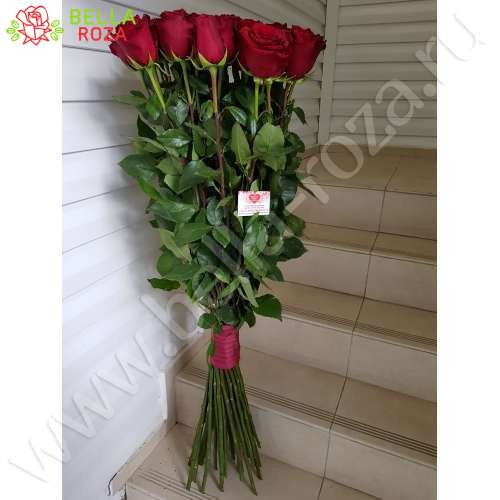 17 красных метровых роз (100 см)