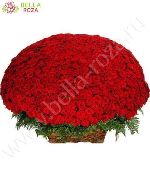 Великолепный букет из 1001 розы