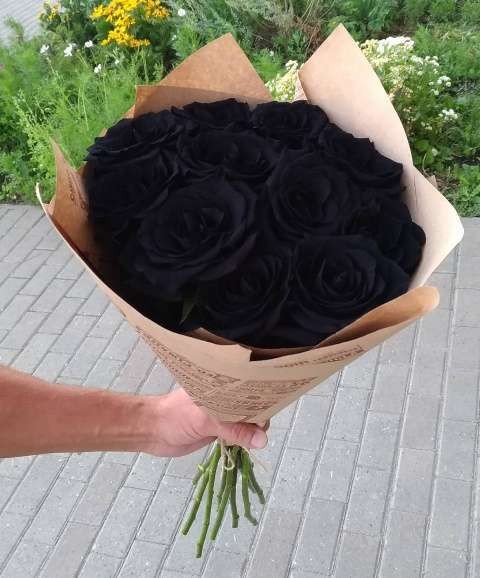 11 натуральных черных роз 70-90 см