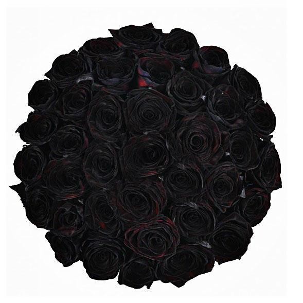39 натуральных черных роз 70-90см