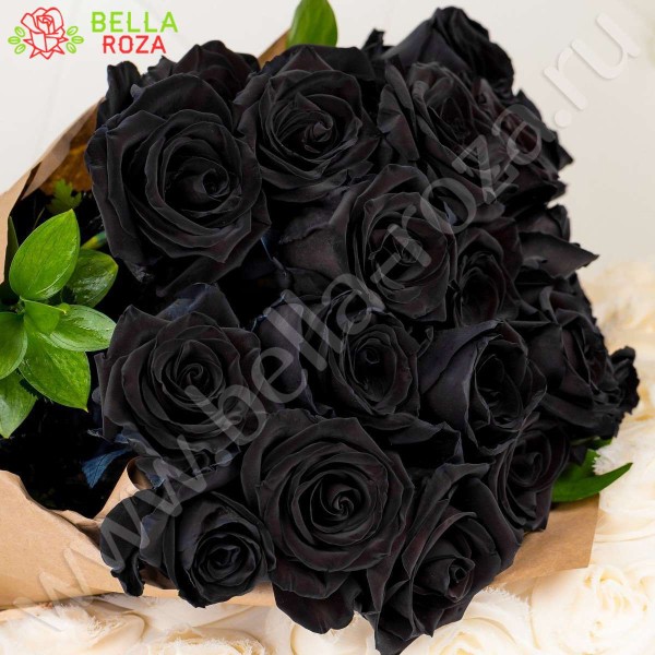 21 натуральная черная роза 70-90 см