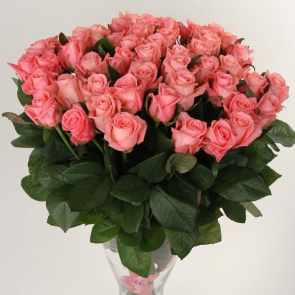 51 розовая роза Анна Карина 100 см