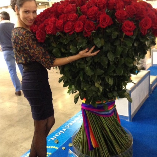 151 гигантская Красная роза 170 см