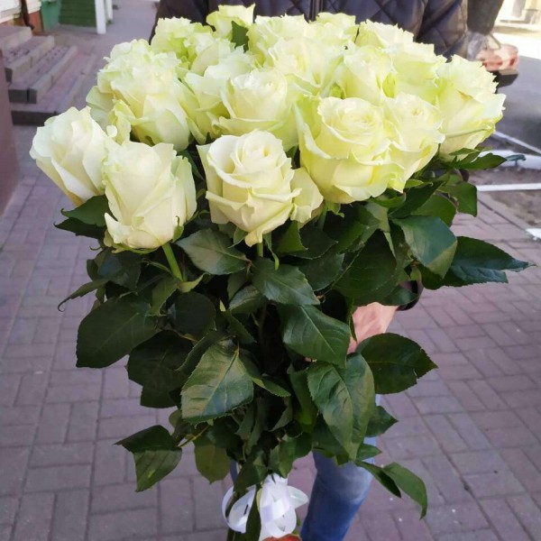 19 белых метровых роз (100 см)
