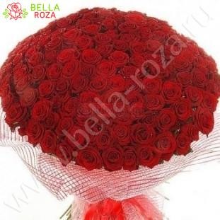 101 Красная роза "Страсть" 70 см