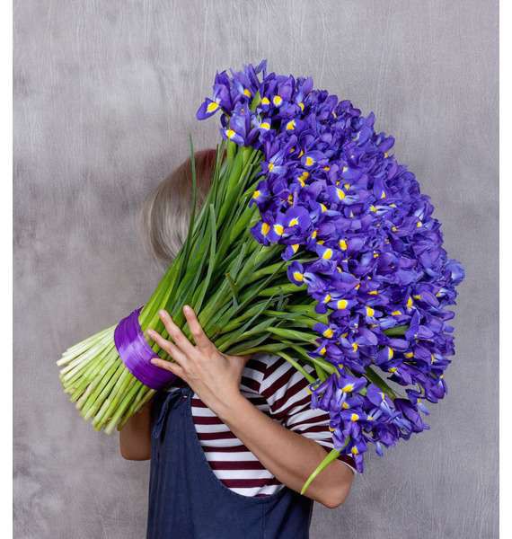  Букет шикарных ирисов — 101 цветок