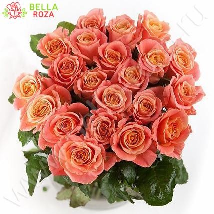 25 роз Мисс Пигги 70 см "Веснушка"