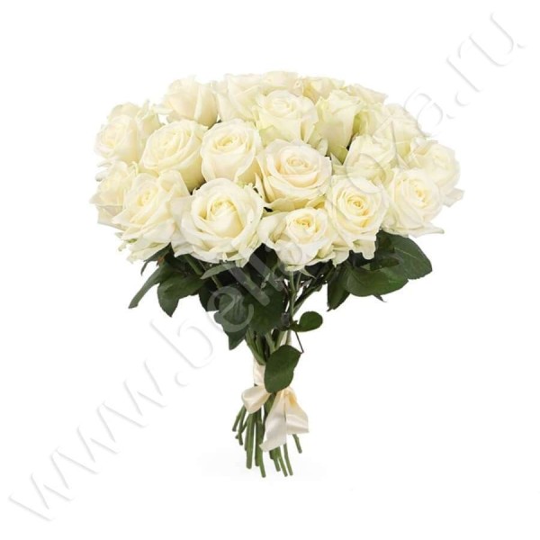21 белая роза 90 см