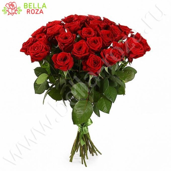 25 красных роз 70 см 