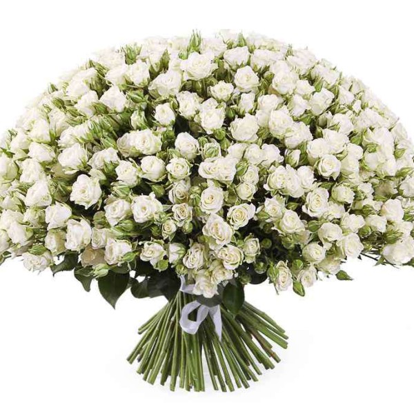Букет из 75 белых кустовых роз
