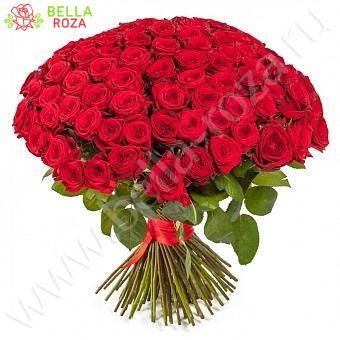 101 красная роза "Люкс" 70см