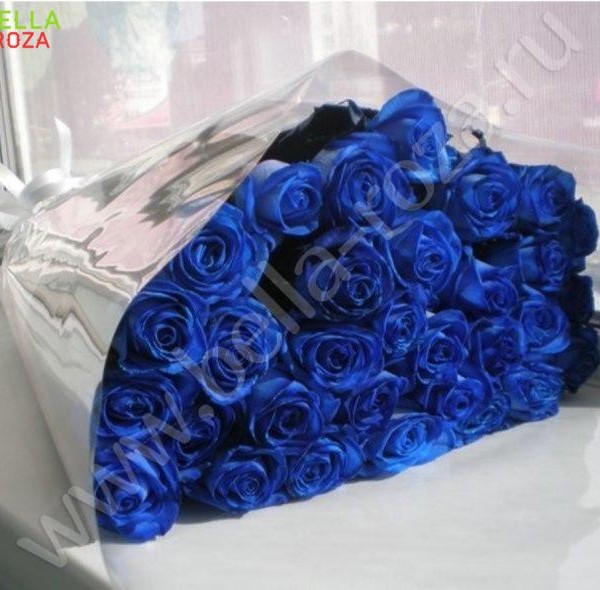 Букет из 35 натуральных синих роз 70-90 см