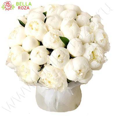 Доставка цветов по Москве ✿ Купить цветы в интернет-магазине Bella Roza