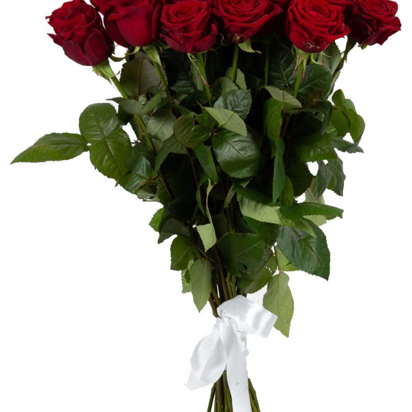 11 гигантских Красных роз 110 см