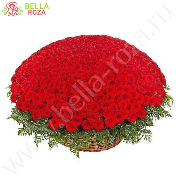 151 красная роза Ред Наоми в корзине