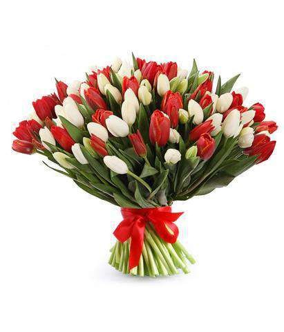 Букет Тюльпаны красные и белые 101 шт