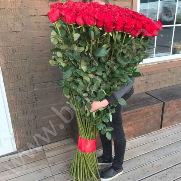 25 гигантских Красных роз 160 см