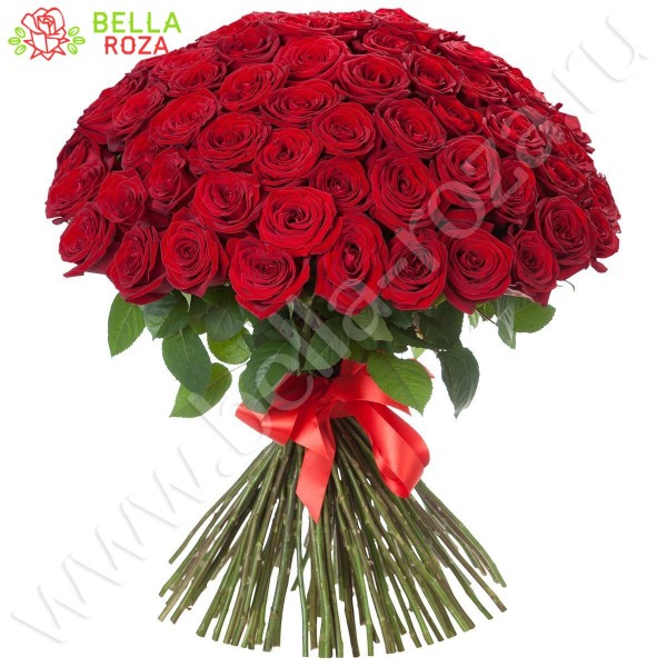 101 Роза красная "Бурлекс " 70 см