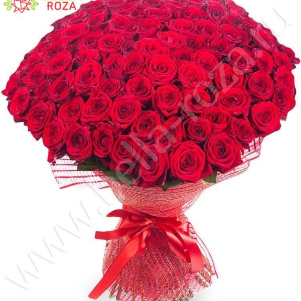 101 красная роза "Гран При" 70 см