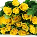 6068622-yellow-roses-bouquet-leaves-buds-white-background.jpg