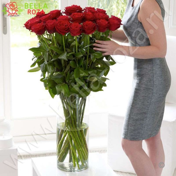 35 гигантских Красных роз 120 см