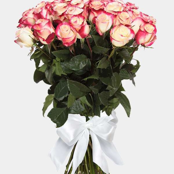 25 гигантских бело-розовых роз 100 см