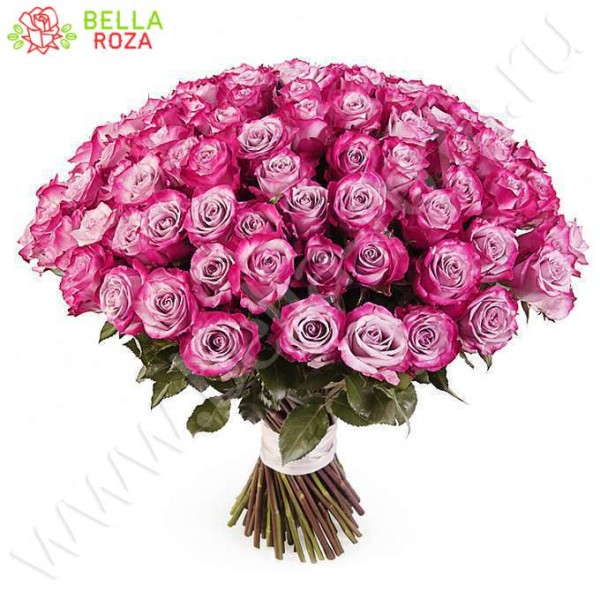 Букет из 101 розы сорта Дип Перпл 80 см