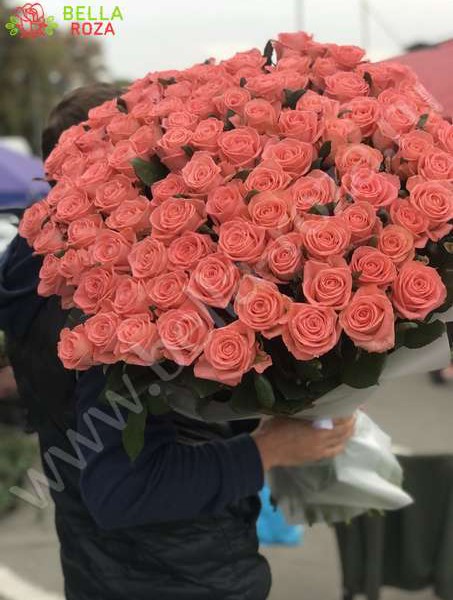 35 розовых роз Анна Карина 100 см