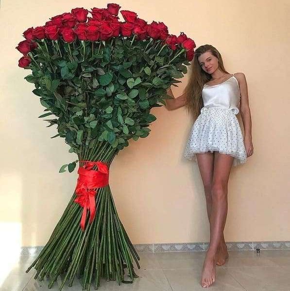 101 гигантская Красная роза 200 см
