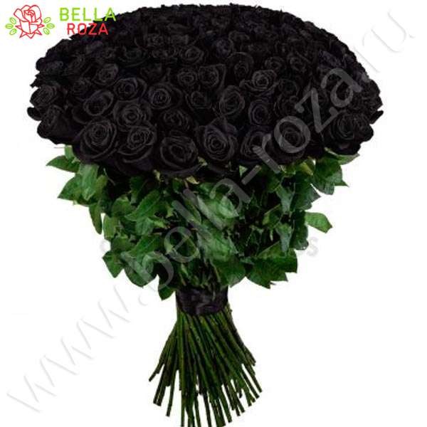 75 натуральных черных роз 70-90см