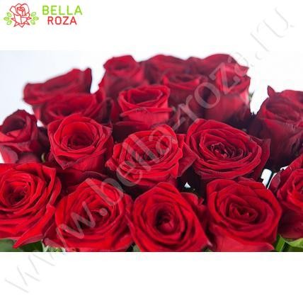 51 красная роза "Сказка" 70 см