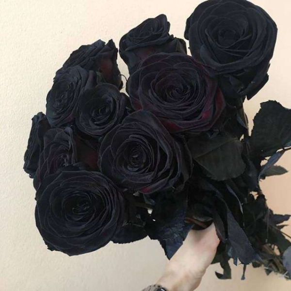 9 натуральных черных роз 70-90 см