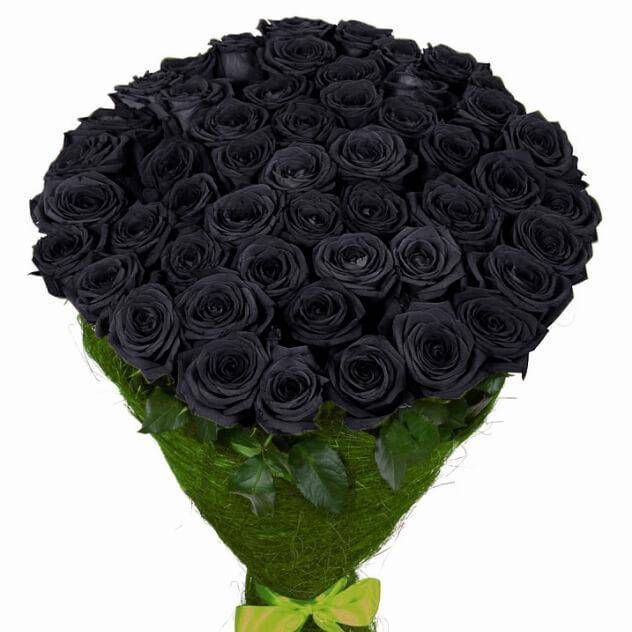 51 натуральная черная роза 70-90 см купить в Москве - цена 12 200 руб c  бесплатной доставкой ✿ Интернет-магазин Bella Roza