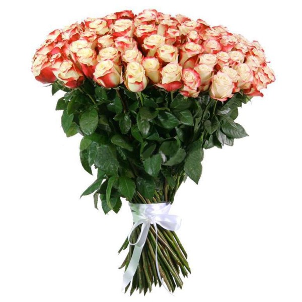 Букет из 101 розы сорта Sweetness (Свитнесс) 80 см