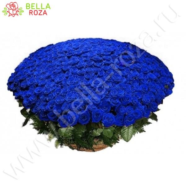 Букет из 1001 натуральной синей розы 70-90 см