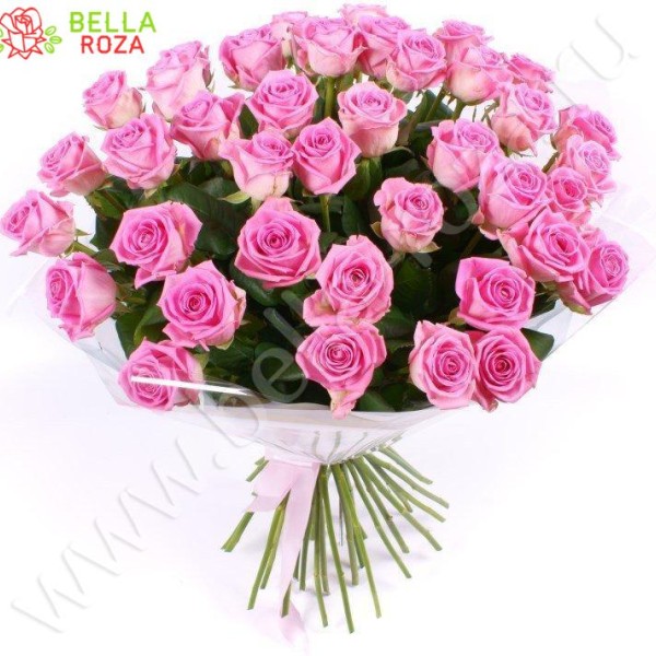 51 розовая роза «Аква» 70см