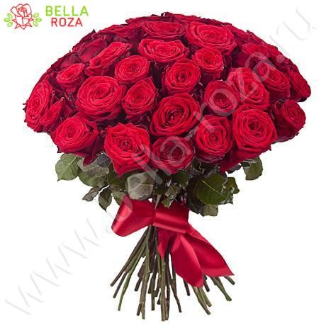 51 красная роза гран при 70 см "Бог любви"