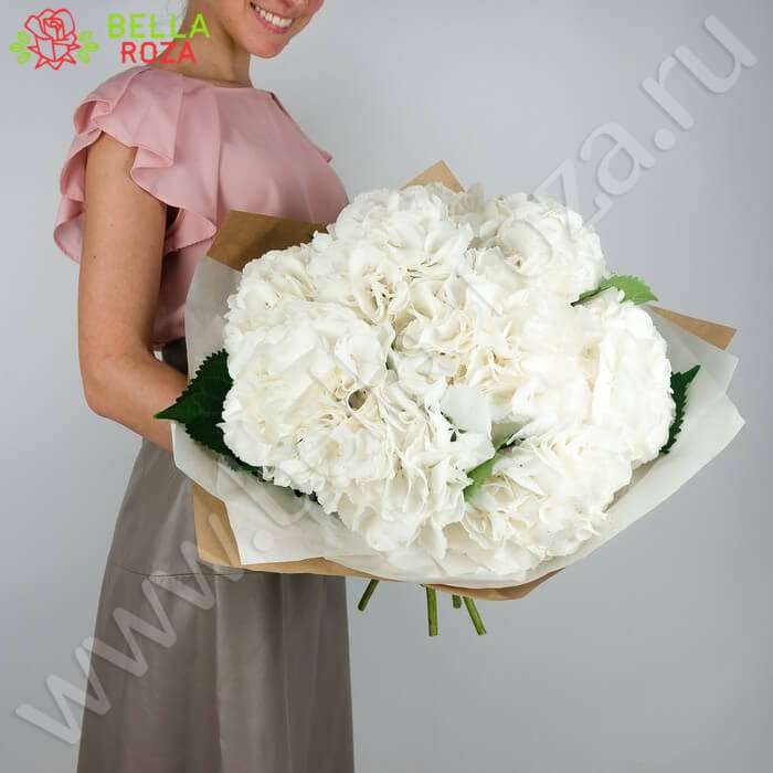 Букет гортензий * Flowwow * Купить букеты с гортензиями Заволжский с доставкой