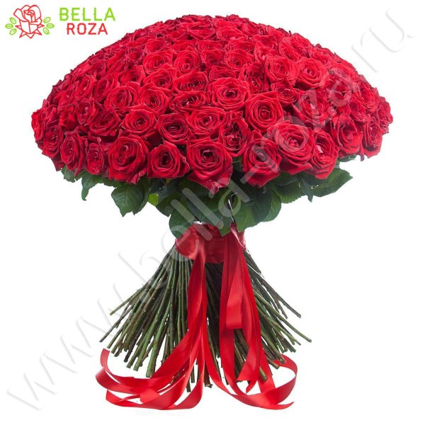 151 красная роза 70 см