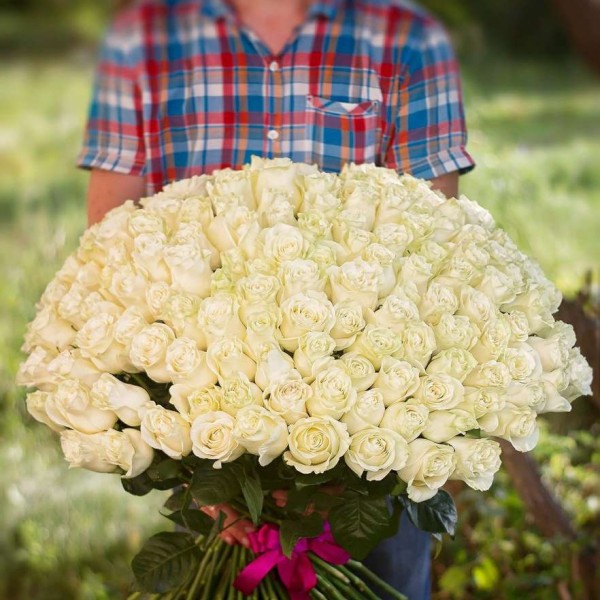 151 белая роза 70 см