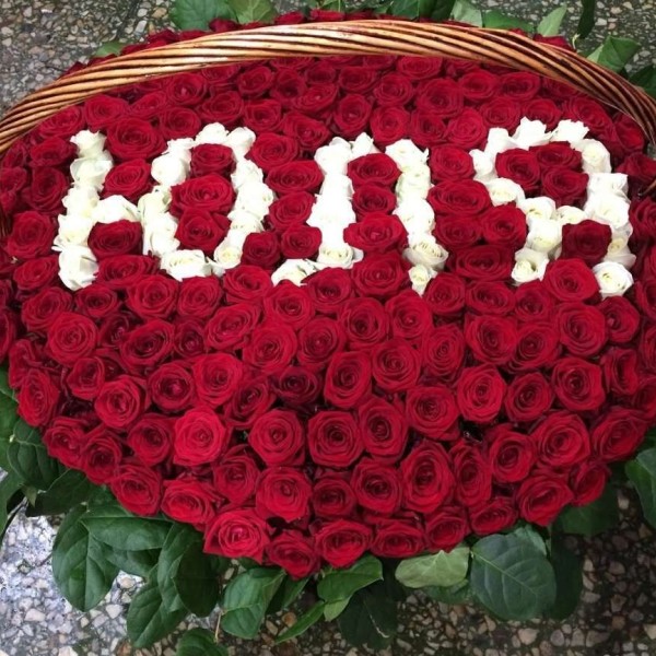 Корзина из 301 красной и белой розы с надписью