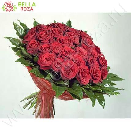 51 бордовая роза Гран При "Любовь" 70 см в фирменной упаковке